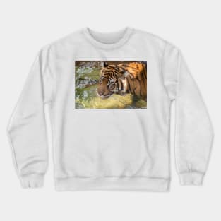 Tiger playing in some water Crewneck Sweatshirt